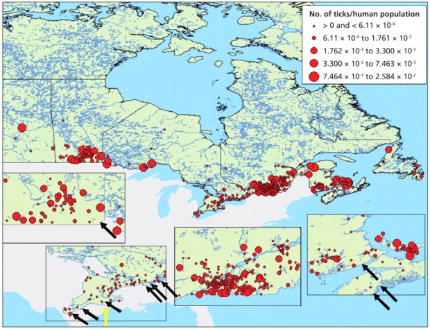Répartition des tiques au Canada - © Odgen et al, 2009 CMAJ