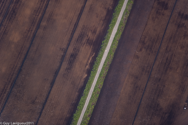 Tourbière en exploitation © Guy Lavigueur, utilisé avec permission