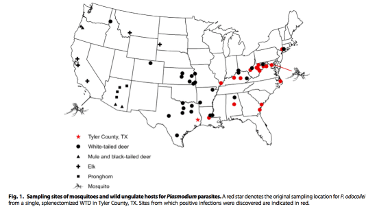 Capture d’écran 2016-02-08 à 10.46.29